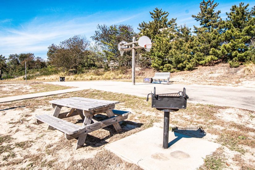Outdoors grilling and picnic area with basketball court